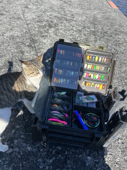 太田フィッシングクラブ！