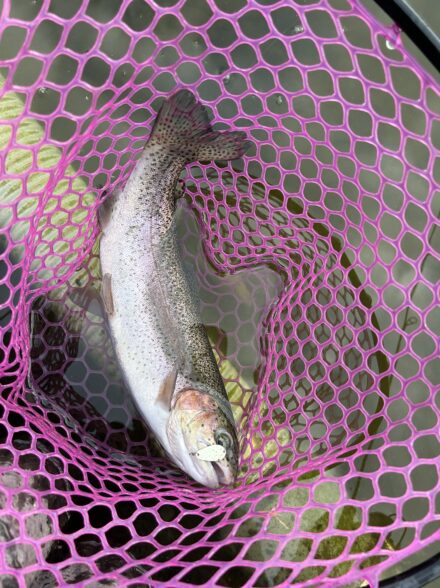 いつもの王禅寺