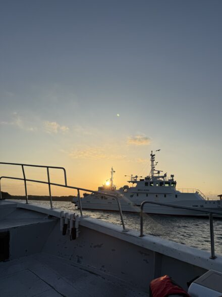 高田釣行便 志摩トンジギ