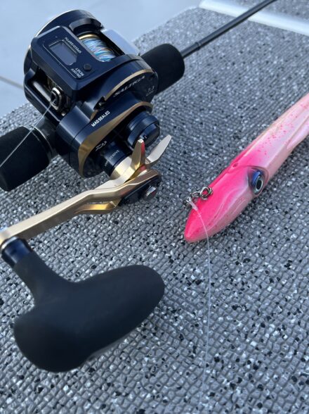 敦賀泰丸タルイカチャレンジ