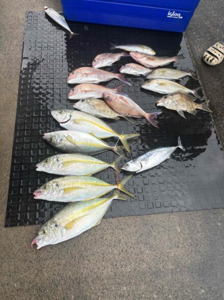 串本 シマアジ釣行 久美丸