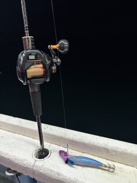 明石で初ティップラン