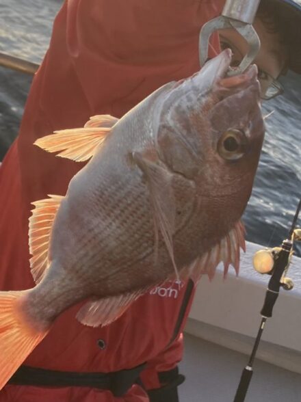 明石鯛ラバ10月30日