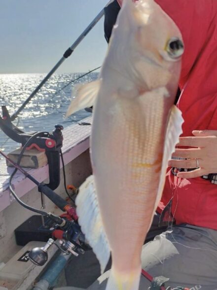 釣宿酒場マヅメcup✨