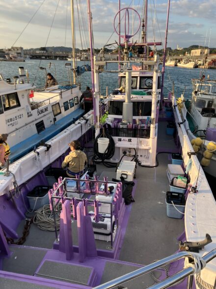 リベンジライトテンヤ