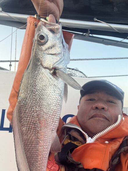 大漁！！　クログチ→青物リレー＠MCLさん