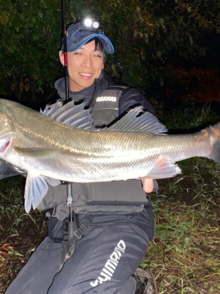 九頭竜水系 シーバス