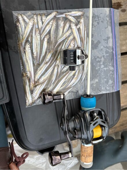 丹沢湖 手漕ぎボートワカサギ