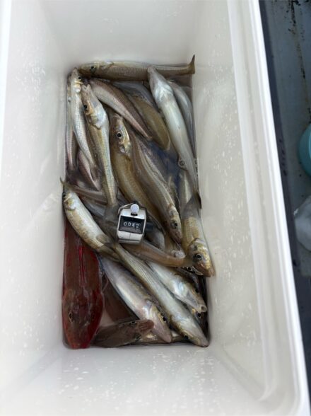 進丸 午後キス②