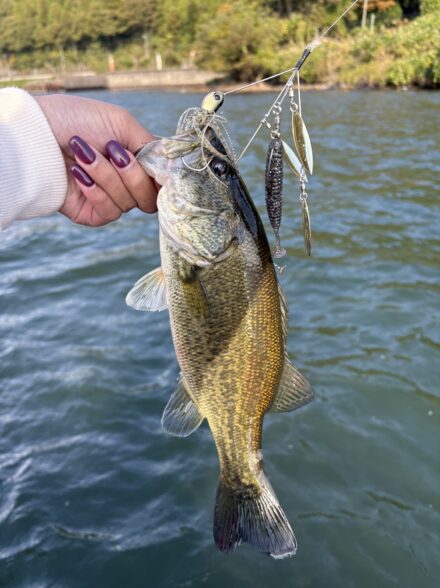 琵琶湖バス釣り🎣⛰️