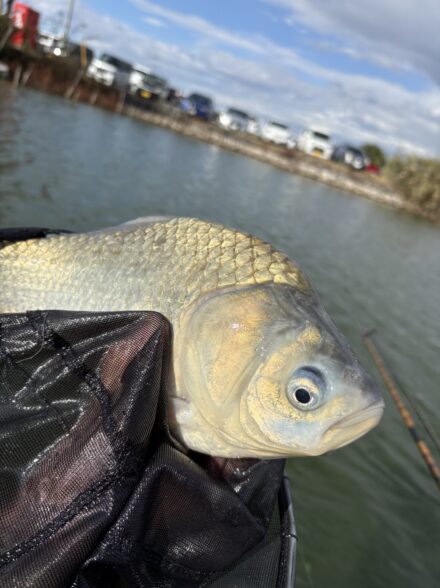 ワイワイクラブ11月例会!