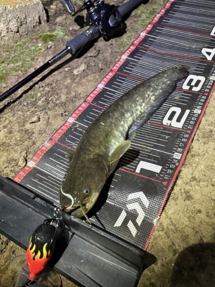 今シーズン149本!