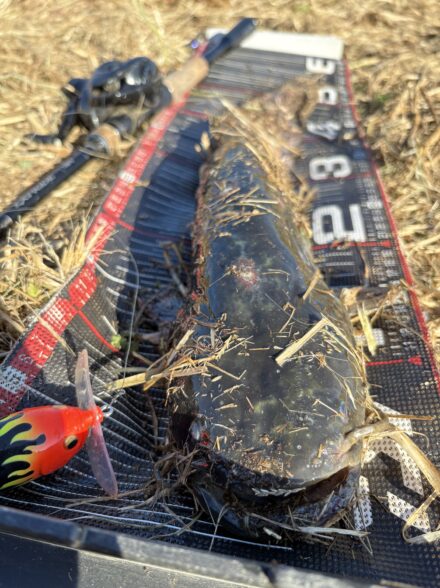 執念の1本!今シーズン150本達成!