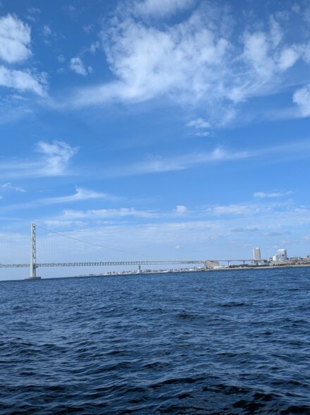 明石鯛ラバ11月11日