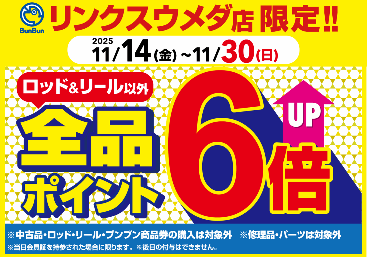 【リンクスウメダ店限定】全品ポイント6倍！