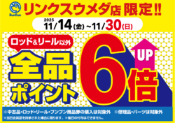 【リンクスウメダ店限定】全品ポイント6倍！