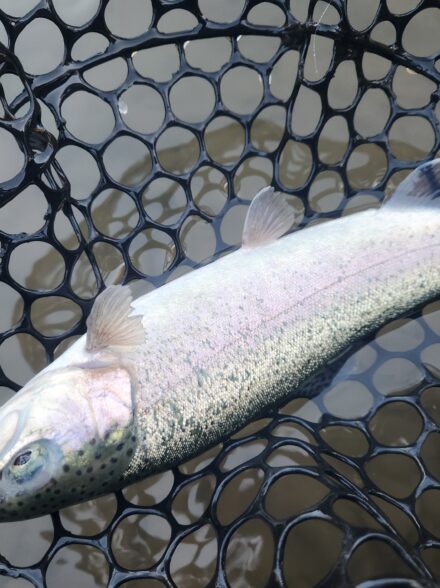 大苦戦!?ジョイバレー