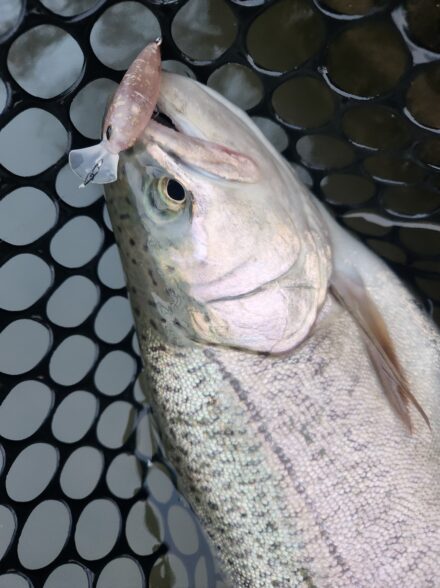 ドカンと炸裂!ジョイバレー