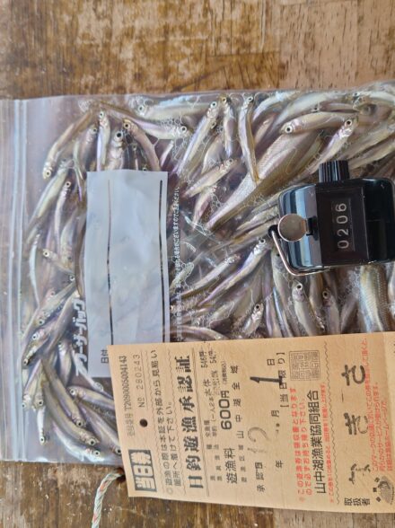 今季初ワカサギ釣行in山中湖