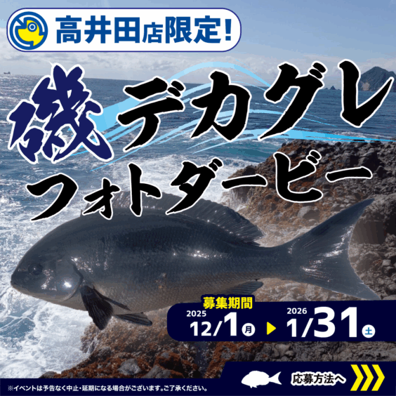 【高井田店限定！】磯デカグレフォトダービー！