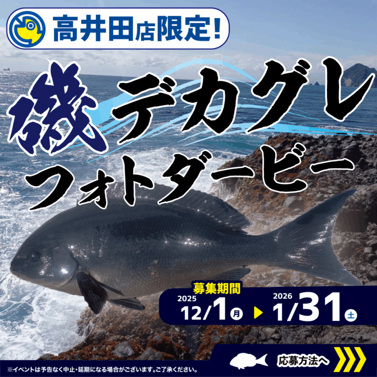 【高井田店限定！】磯デカグレフォトダービー！