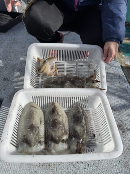 北塩屋漁港出船みなと丸さんスミイカ釣行