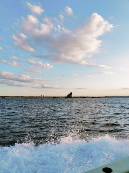 相模湾のアオリイカ釣りに行ってきました🦑