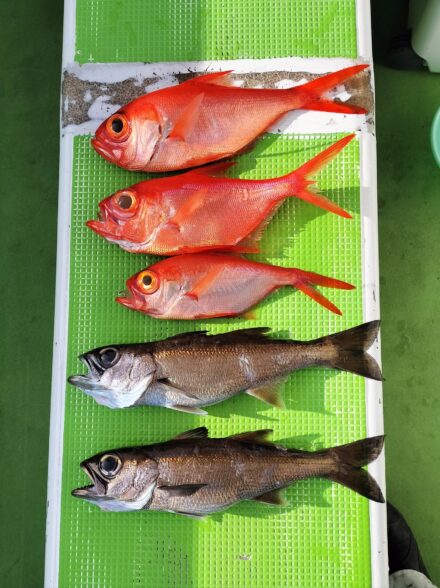 航程15分程度の近場で楽しめる中深海狙い!!