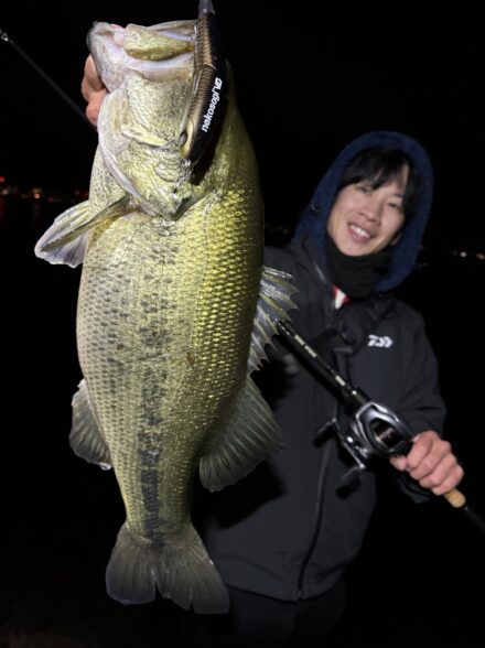 ネコソギVG”NorthBait”で連発！