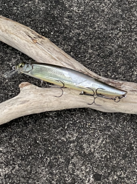 北湖西岸探索② 〜速攻2時間縛り〜