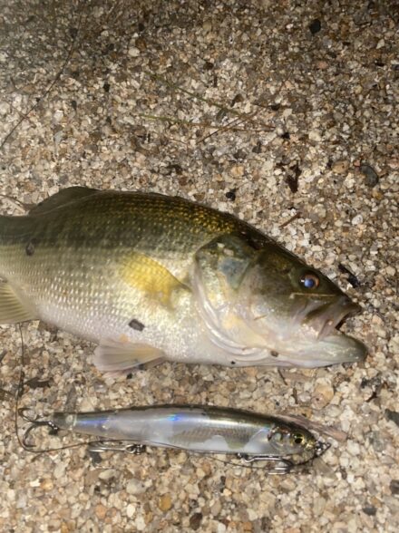 西岸ハードベイトアタック 土嚢格闘編