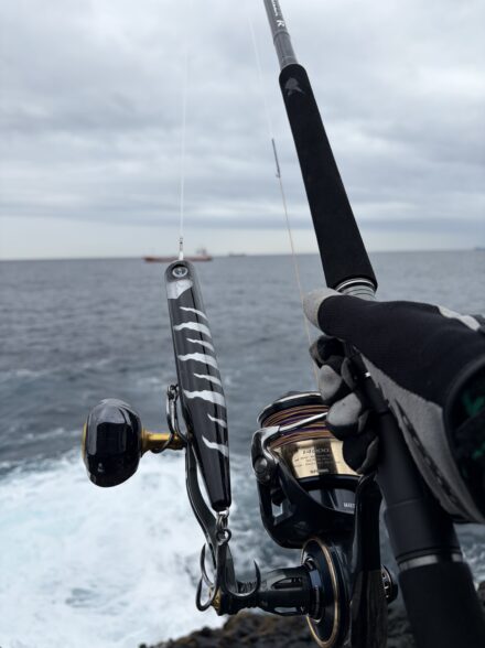 南伊豆沖磯ヒラマサ調査