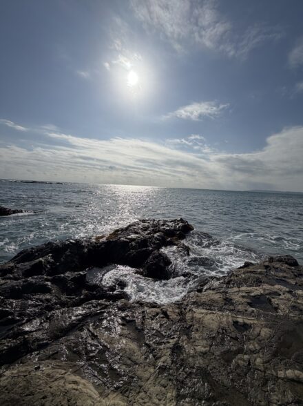 房総ヒラスズキ