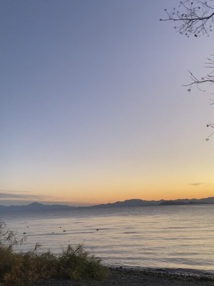 聖地巡礼！西岸ハードベイトアタック④