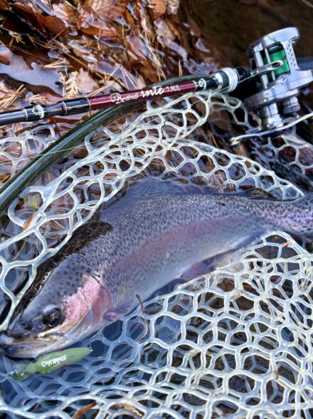 ドリ・グリ・時々デジ