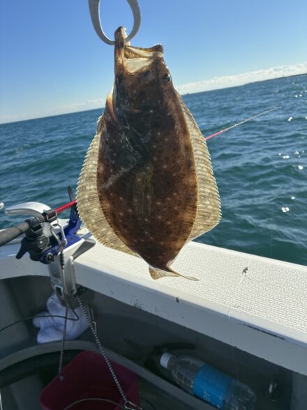 今季2戦目のヒラメ!