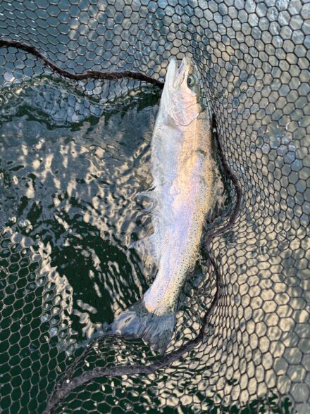 禁漁前の芦ノ湖釣行!