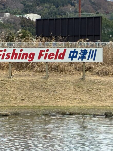 朝イチ勝負のFF中津！