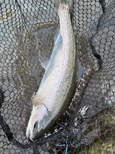 裾野フィッシングパークへ！