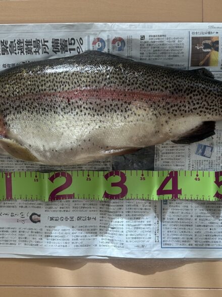 甲斐サーモンを求めてin王禅寺