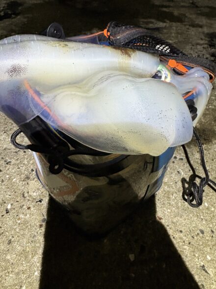 五島列島 キロオーバー12杯