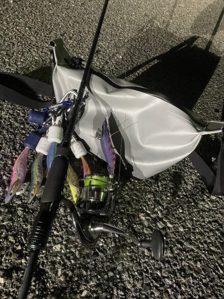 淡路島釣行❗️エギングに挑戦して来ました😁✨👍