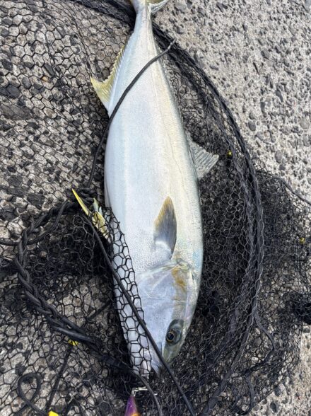 五島列島釣行最終日