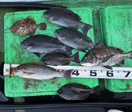 2025釣り納め🎣@照ちゃん渡船