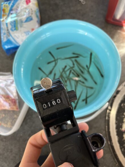 初ワカサギ釣り