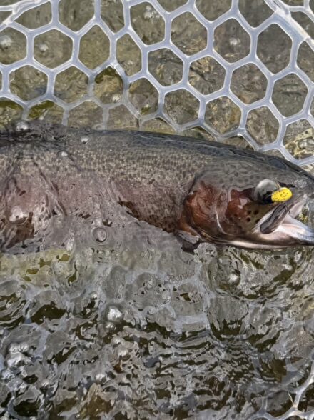 11月22日(土) 高島の泉