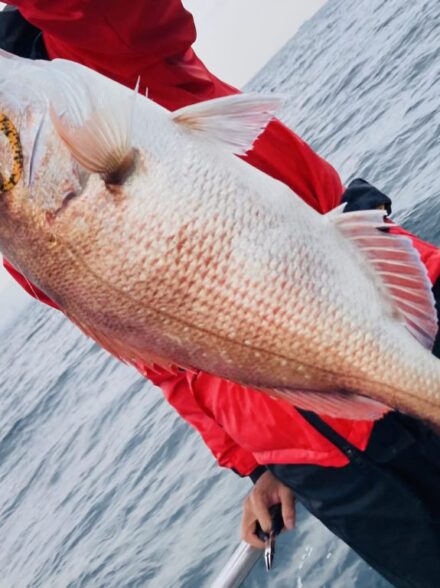 明石鯛ラバ11月27日