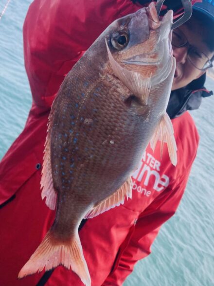明石鯛ラバ12月10日