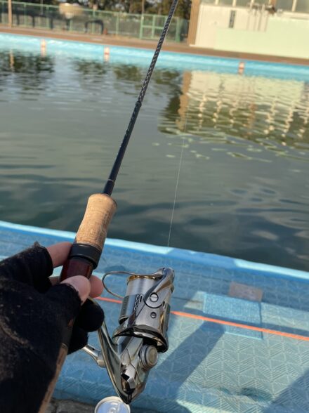 ホントに最後のエリアトラウト‼️