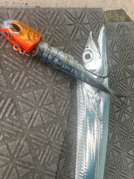 雨の中のタチウオテンヤ